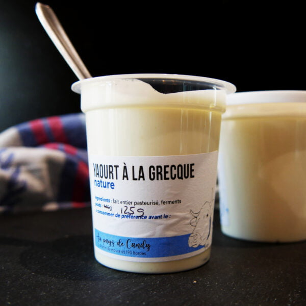 Pot de yaourt à la grecque nature avec une cuillère dans le pot