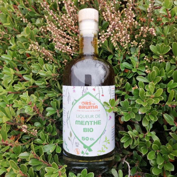 Bouteille de 50 cl de Liqueur de Menthe bio dans un buisson et produite par la ferme-distillerie Ors na Bruma en Val d'Azun