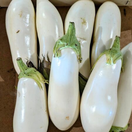 Caissette en bois dans laquelle sont empilées 7 Aubergines blanches, à la tige bien vertes