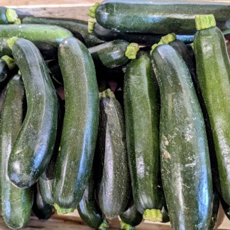 Une dizaine de courgettes vertes dans une cagette en bois légèrement sur-exposée