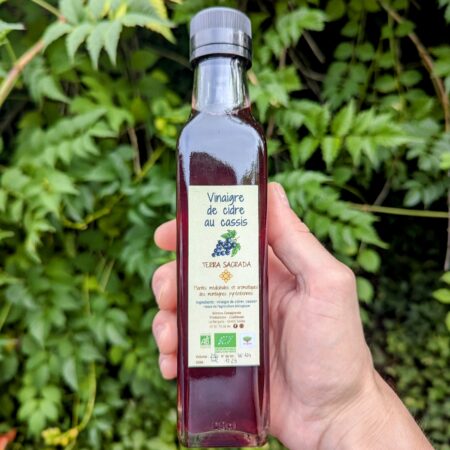 une bouteille de vinaigre de cidre au cassis tenue dans une main, devant un parterre de plantes