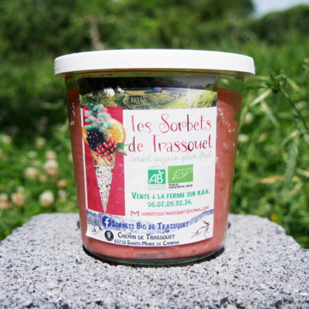 Sorbet à la fraise posé sur un agglo dans un jardin