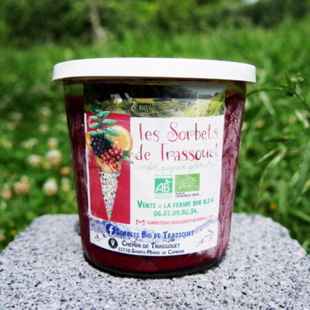 Pot de sorbet mélange rhubarbe fraise menthe venant du fabriquant Les Sorbets de Trassouet