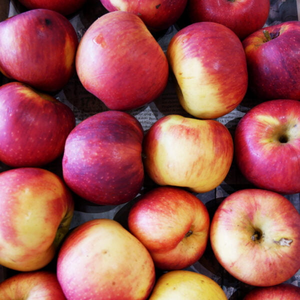 Photo prise du dessus de pommes dans un cageot