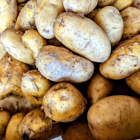 Tas de 10kg de pommes de terre nouvelle de chez Sylvain Andrieux à Odos