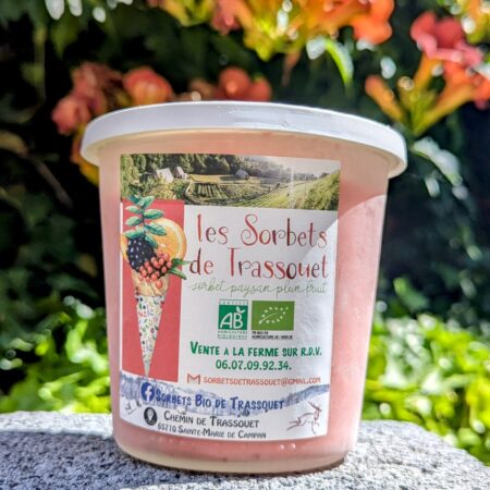 pot de sorbet bio à la fraise et à la fleur de sureau sur un bout de parpaing, devant des plantes en fleurs