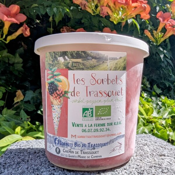 Photo d'un pot de sorbet bio et naturel à la framboise, prise au soleil devant des fleurs colorées