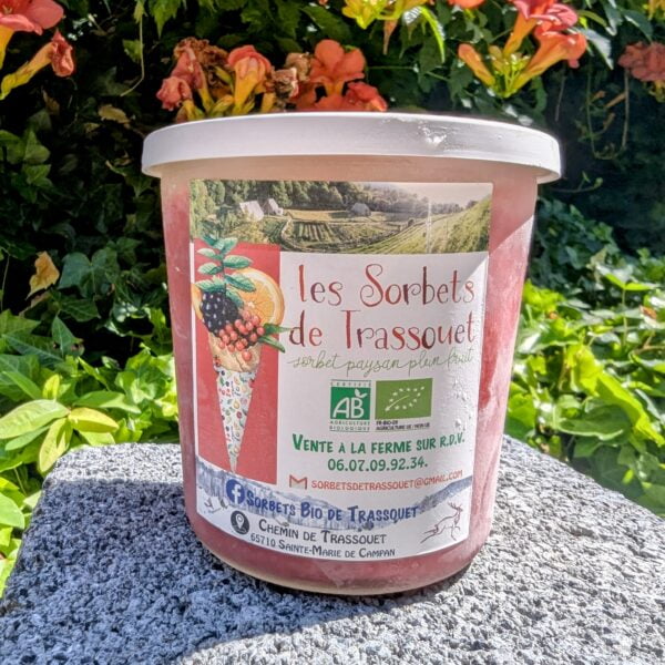 Pot de sorbet aux fruits rouges, sur un agro, devant une glissine en floraison