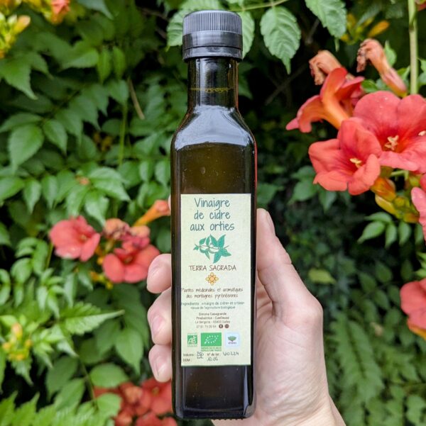 bouteille de 20cl de vinaigre de cidre aux orties dans une main, devant des plantes fleuries vertes et roses