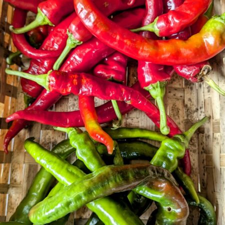 des ppiments doux des landes de deux couleurs différentes, rouges et verts dans une panière en osier