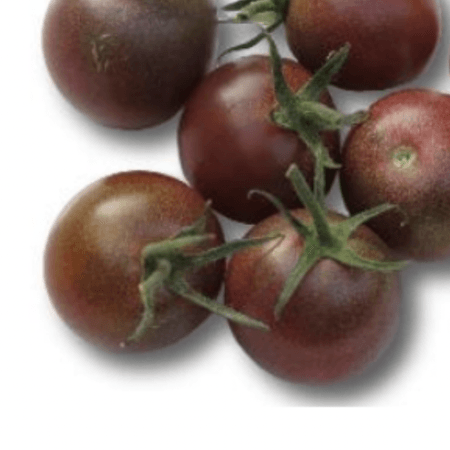 BLACK CHERRY