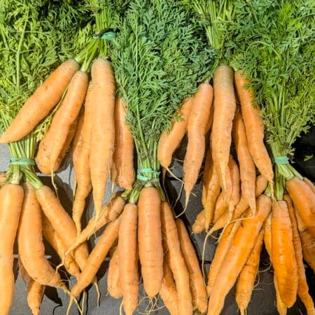 bottes de carottes avec fanes