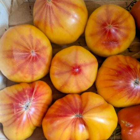 tomates ananas