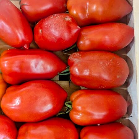 Tomate Cornue des Andes - Sylvain Andrilleux