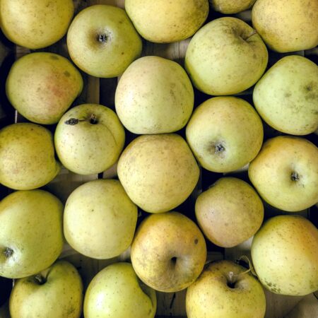 pommes gold rush dupont de clarac