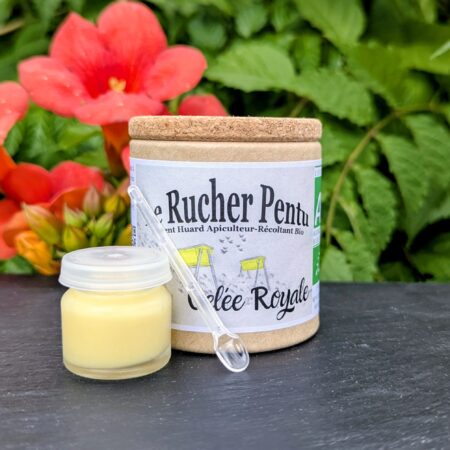 4 éléments à l'image, un pot de gelée royale d'abeilles élevées en ruches kenyanes devant son emballage en liège et sa cuillère doseur, le tout sur une ardoise foncée et devant une fleur rouge